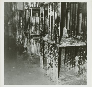 View of  bookshelves  covered by mud inside the Biblioteca Nazionale